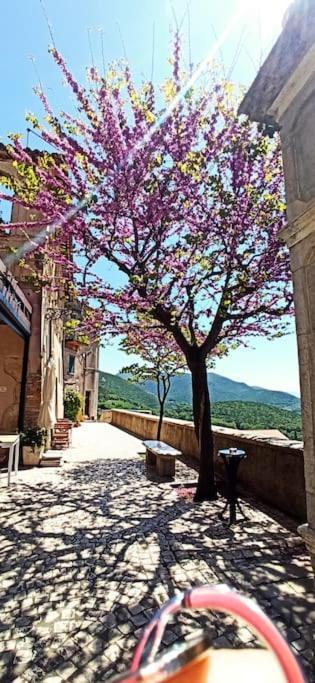 Relax Nell' Antico Borgo Villa Casperia Bagian luar foto